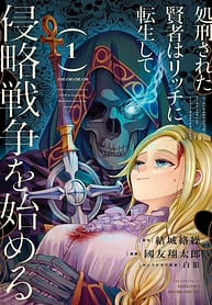 The Executed Sage Is Reincarnated as a Lich and Starts an All Out War 8313